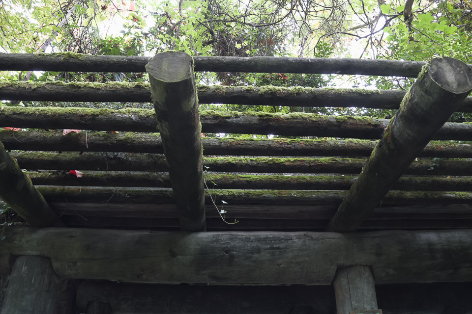 Woodland Park Zoo — photo 15
